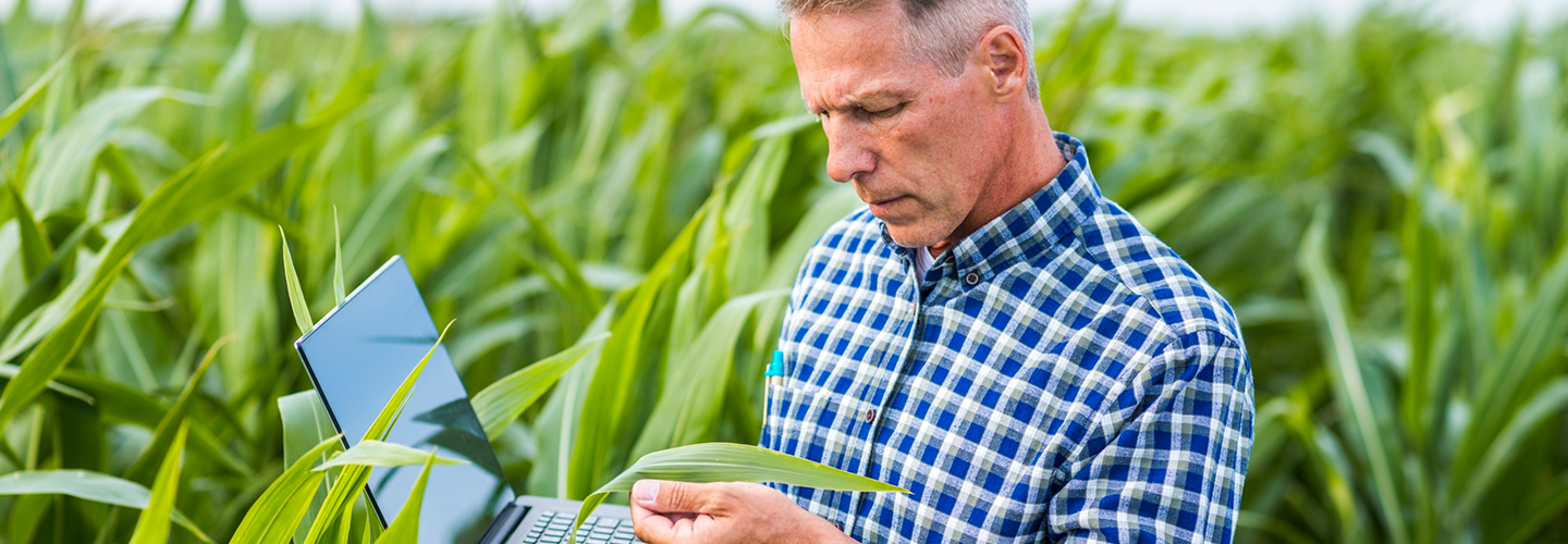 Agriculture Loan